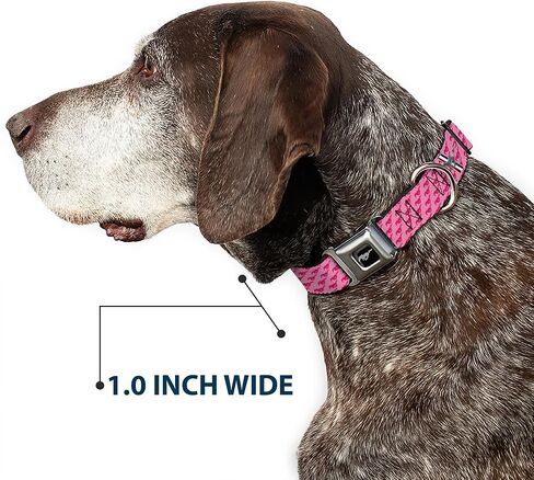 Buckle-Down Dog Collar Seatbelt Buckle Ford Mustang Bars Text Pink Logo Repeat 11 to 17 Inches 1.0 Inch Wide in Kuwait