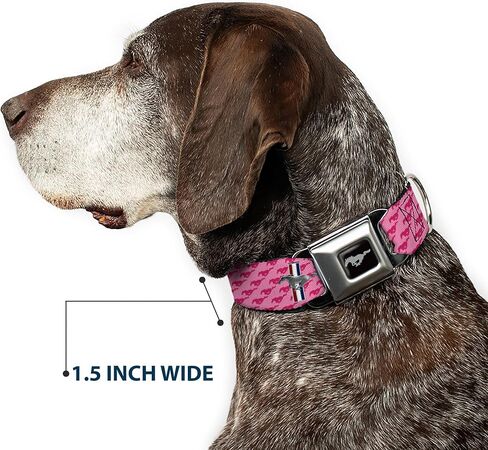 Buckle-Down Dog Collar Seatbelt Buckle Ford Mustang Bars Text Pink Logo Repeat 11 to 17 Inches 1.0 Inch Wide in Kuwait
