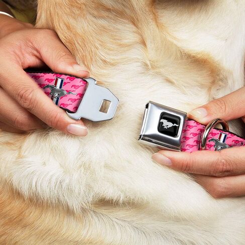 Buckle-Down Dog Collar Seatbelt Buckle Ford Mustang Bars Text Pink Logo Repeat 11 to 17 Inches 1.0 Inch Wide in Kuwait
