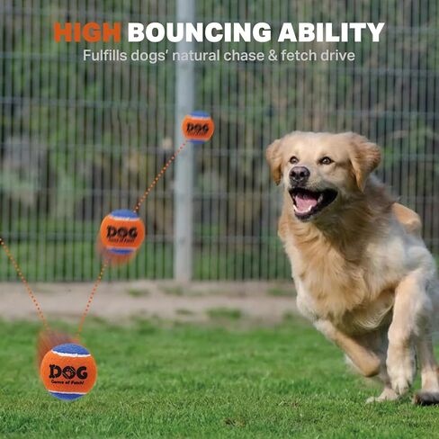 AMA SPORT Squeaky Tennis Balls for Dogs 2.0" Small Dog Tennis Balls for Throwing and Fetching Dog Toys for Training, Exercise, High Bouncing 4 Pack (Orange Light Blue) in Kuwait