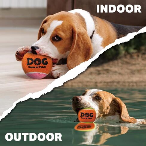 AMA SPORT Squeaky Tennis Balls for Dogs 2.0" Small Dog Tennis Balls for Throwing and Fetching Dog Toys for Training, Exercise, High Bouncing 4 Pack (Orange Light Blue) in Kuwait