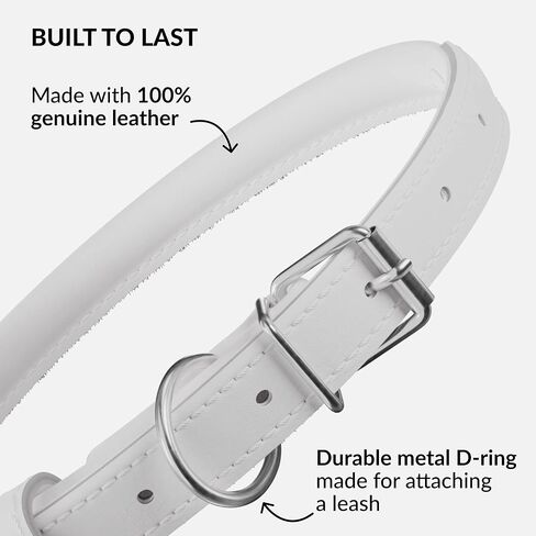 CollarDirect Rolled Leather Dog Collar, Soft Padded Round Puppy Collar, Handmade Genuine Leather Collar Dog Small Large Cat Collars 13 Colors (13-16 Inch, White Smooth) in Kuwait