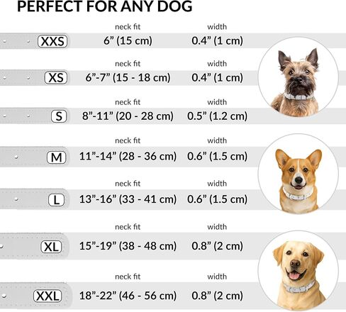 CollarDirect Rolled Leather Dog Collar, Soft Padded Round Puppy Collar, Handmade Genuine Leather Collar Dog Small Large Cat Collars 13 Colors (13-16 Inch, White Smooth) in Kuwait
