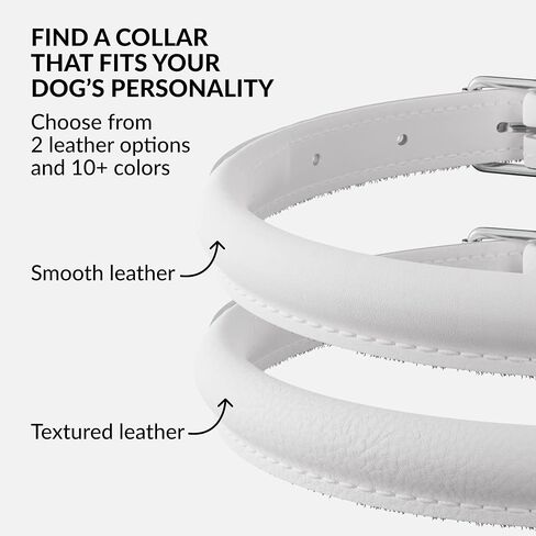 CollarDirect Rolled Leather Dog Collar, Soft Padded Round Puppy Collar, Handmade Genuine Leather Collar Dog Small Large Cat Collars 13 Colors (13-16 Inch, White Smooth) in Kuwait