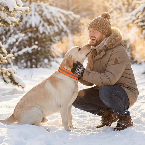 Reflective Dog Collar, Blaze Orange High Visibility Pet Collars Adjustable Pet Collars with Quick Release Fastener Safe Comfortable Dog Walking Accessories for Small Medium Large Pets in Kuwait