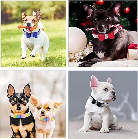 Hotlion Bling Rhinestone Dog Collar Cute Dazzling Crystal Diamond Puppy Kitten Pet Cat Collars for Small Dogs Boys Girls Pink M in Kuwait