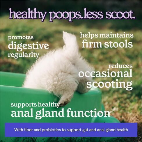 Premium Anal Gland Support Supplement - Dog Anal Gland Treatment With Fiber & Pumpkin for Dogs – Prevents Scooting, Supports Digestion & Anal Gland Health – Probiotics, Enzymes & Psyllium Husk –3.20oz in Kuwait