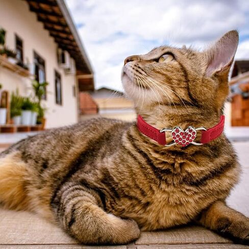 طوق الحيوانات الأليفة Love Cat من Pet Products - طوق ناعم للحيوانات الأليفة قابل للتعديل للجراء والقطط مع جرس، أحمر in Kuwait