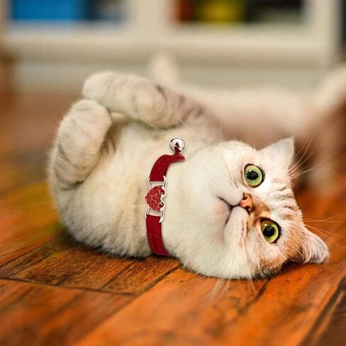 طوق الحيوانات الأليفة Love Cat من Pet Products - طوق ناعم للحيوانات الأليفة قابل للتعديل للجراء والقطط مع جرس، أحمر in Kuwait