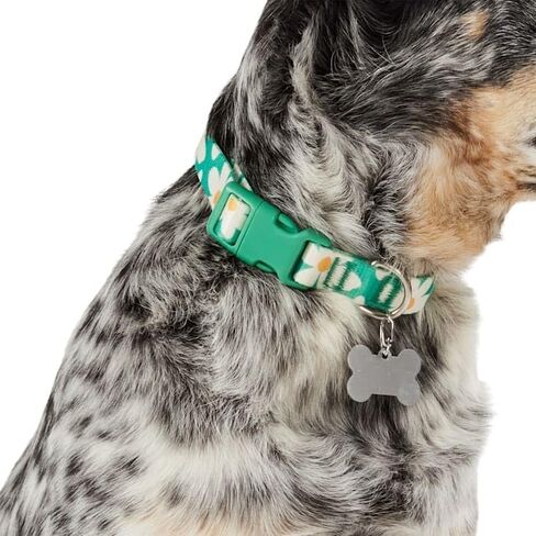 YOULY من Petco Daisy طوق للكلاب متوسط ​​الحجم in Kuwait