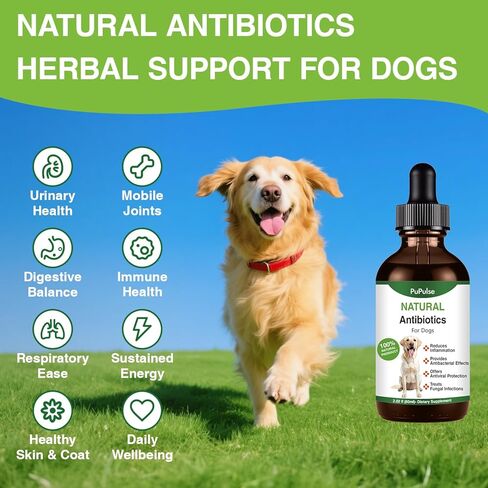 Antibiotics for Dogs | Natura Antibiotics for Dogs | Dietary Supplement Pet Antibiotic | Dog Vitamins and Supplements | Dog Antibiotic | 2 Oz in Kuwait
