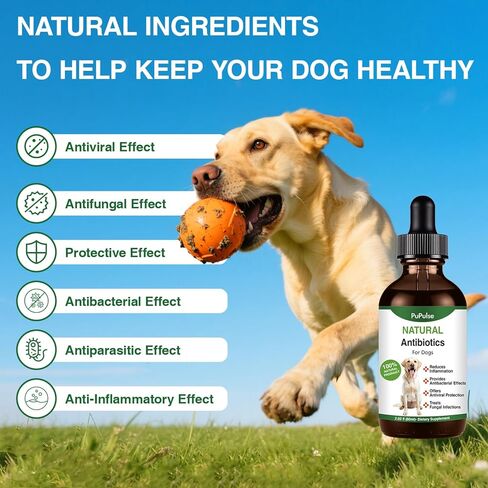 Antibiotics for Dogs | Natura Antibiotics for Dogs | Dietary Supplement Pet Antibiotic | Dog Vitamins and Supplements | Dog Antibiotic | 2 Oz in Kuwait