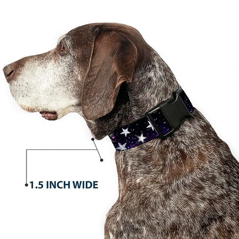 Buckle-Down Plastic Clip Collar - Glowing Stars in Space Black/Purple/White - 1" Wide - Fits 9-15" Neck - Small in Kuwait