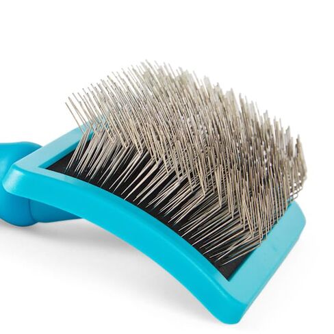 Well & Good by Petco ProStyle Doodle Slicker Brush in Kuwait