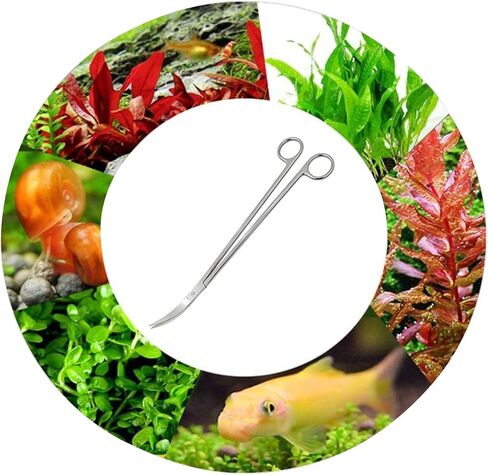 Aquarium Scissors, 13.8" Aquarium Scissors Extra Long,Stainless Steel Curved Scissors, Professional Aquarium Plant Scissors, Silver in Kuwait