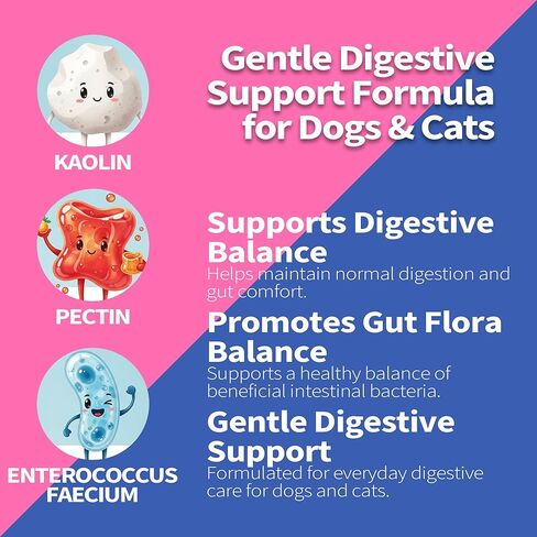 30cc-Anti-Diarrheal Support for Dogs & Cats –Digestive Relief Oral Paste with Kaolin, Pectin & Probiotics – Helps Soothe Upset Stomach & Firm Loose Stool in Kuwait