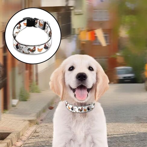 Soft & Comfy Dog Collar with Quick Release Buckle Funny Chicken Rooster Print Adjustable Pet Collar for Dogs and Cats Size M in Saudi Arabia