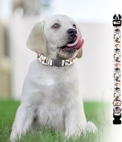 Soft & Comfy Dog Collar with Quick Release Buckle Funny Chicken Rooster Print Adjustable Pet Collar for Dogs and Cats Size M in Saudi Arabia