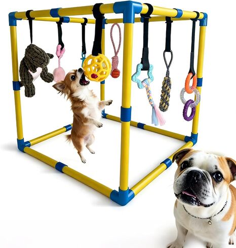 Puppy Play Gym، ألعاب إثراء الجراء لإبقائهم مشغولين، 9 ألعاب معلقة قابلة للفصل/الاستبدال، ألعاب للكلاب للمتعة والتمرين in Kuwait