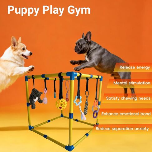 Puppy Play Gym، ألعاب إثراء الجراء لإبقائهم مشغولين، 9 ألعاب معلقة قابلة للفصل/الاستبدال، ألعاب للكلاب للمتعة والتمرين in Kuwait