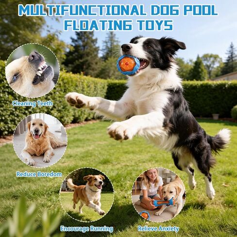 3 Pcs Dog Pool Floating Toys,TPR Bite Resistant Squeaky Dog Water Toy for Medium Large Dog,Interactive Dog Toys for Throwing Fetching,for Summer Outdoor Lake Beach Training Playing with storage bag in Kuwait