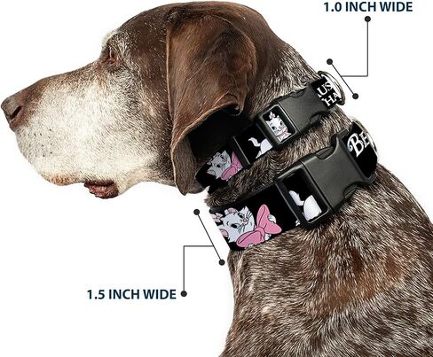 Buckle-Down Dog Collar Plastic Clip Aristocats Marie 3 Poses Because Im A Lady Thats Why Black 6 to 9 Inches 0.5 Inch Wide in Kuwait
