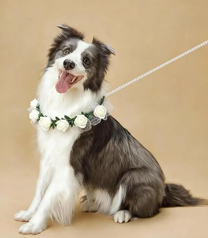 Dog Flower Collar with Pearl Leash Floral Wedding Accessory for Small Dogs, White Rose Eucalyptus Detachable Pet Necklace for Photoshoot & Party in Kuwait