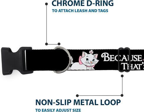 Buckle-Down Dog Collar Plastic Clip Aristocats Marie 3 Poses Because Im A Lady Thats Why Black 6 to 9 Inches 0.5 Inch Wide in Kuwait