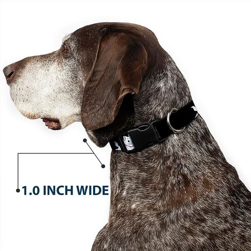 Buckle-Down Dog Collar Plastic Clip Aristocats Marie 3 Poses Because Im A Lady Thats Why Black 6 to 9 Inches 0.5 Inch Wide in Kuwait
