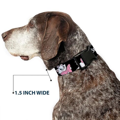 Buckle-Down Dog Collar Plastic Clip Aristocats Marie 3 Poses Because Im A Lady Thats Why Black 6 to 9 Inches 0.5 Inch Wide in Kuwait