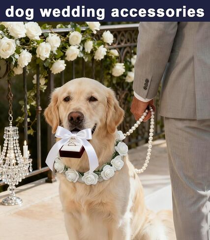 Dog Flower Collar with Pearl Leash Floral Wedding Accessory for Small Dogs, White Rose Eucalyptus Detachable Pet Necklace for Photoshoot & Party in Kuwait