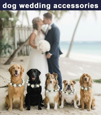 Dog Flower Collar with Pearl Leash Floral Wedding Accessory for Small Dogs, White Rose Eucalyptus Detachable Pet Necklace for Photoshoot & Party in Kuwait