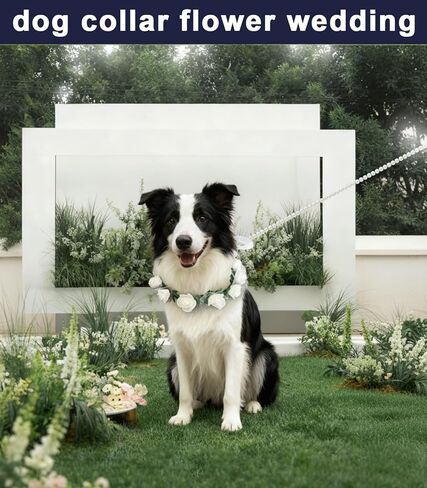 Dog Flower Collar with Pearl Leash Floral Wedding Accessory for Small Dogs, White Rose Eucalyptus Detachable Pet Necklace for Photoshoot & Party in Saudi Arabia
