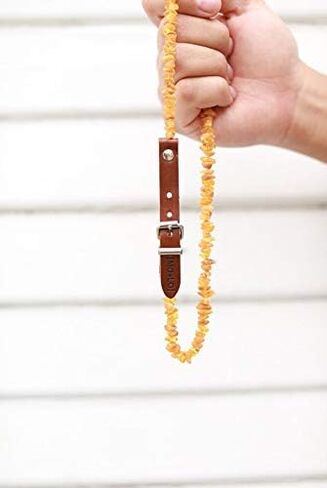 طوق عنبر البلطيق الخام - للكلاب والقطط - خالي من المواد الكيميائية، أصلي 100%، Mo + Lo Naturals (8 "-10") in Kuwait