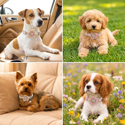 Larrel 2PCS Small Dog Collar with Flower, Breakaway Cat Collars with Bells, Adjustable Pet Collar, Cute Flower Pet Collars for Cats, Dogs, Kittens and Puppies (Pink, White) in Kuwait