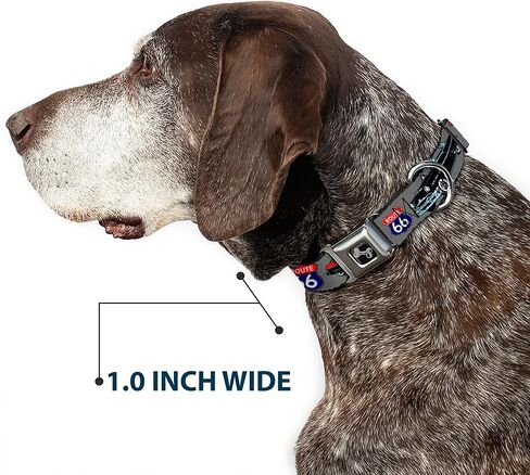 Buckle-Down Seatbelt Buckle Dog Collar - Route 66 Classics Gray - 1" Wide - Fits 11-17" Neck - Medium in Kuwait
