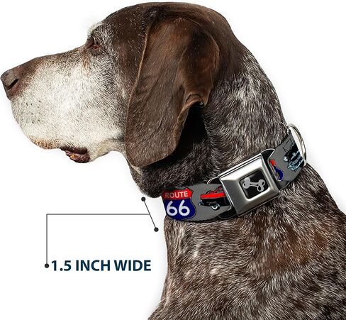 Buckle-Down Seatbelt Buckle Dog Collar - Route 66 Classics Gray - 1" Wide - Fits 11-17" Neck - Medium in Kuwait