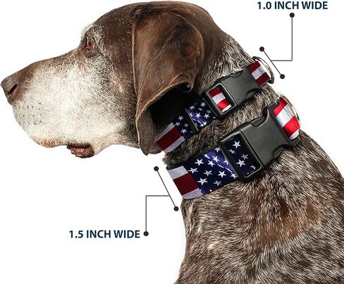 Buckle-Down Plastic Clip Collar - American Flag Vivid CLOSE-UP - 1" Wide - Fits 15-26" Neck - Large in Kuwait