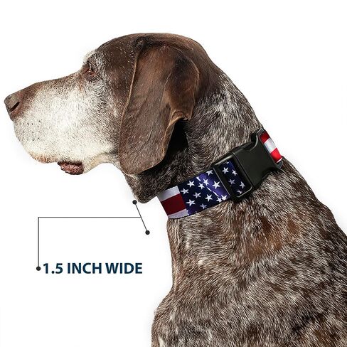 Buckle-Down Plastic Clip Collar - American Flag Vivid CLOSE-UP - 1" Wide - Fits 15-26" Neck - Large in Kuwait