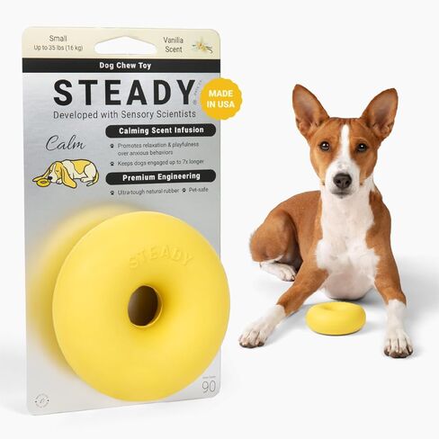 Steady Calming Dog Chew Toy | Infused Vanilla Scent for Anxiety | Ultra Durable for Aggressive Chewers | Made in USA | Natural Rubber Formula | Zero Calories | Safe for Teeth — Small Dogs up to 35 lbs in Kuwait