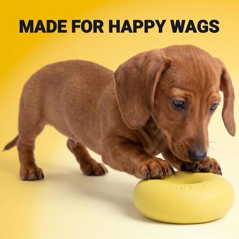 Steady Calming Dog Chew Toy | Infused Vanilla Scent for Anxiety | Ultra Durable for Aggressive Chewers | Made in USA | Natural Rubber Formula | Zero Calories | Safe for Teeth — Small Dogs up to 35 lbs in Kuwait