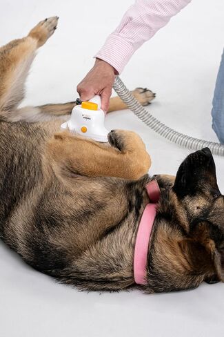Helios - Low Noise, Light Weight, Strong Suction Pet Grooming & Vacuum - All-in-One Trimmer, De-Shedding & Cleaning System for Dogs & Cats in Kuwait