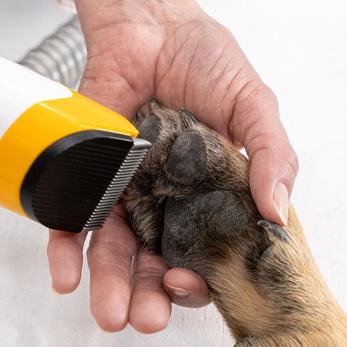 Helios - Low Noise, Light Weight, Strong Suction Pet Grooming & Vacuum - All-in-One Trimmer, De-Shedding & Cleaning System for Dogs & Cats in Kuwait
