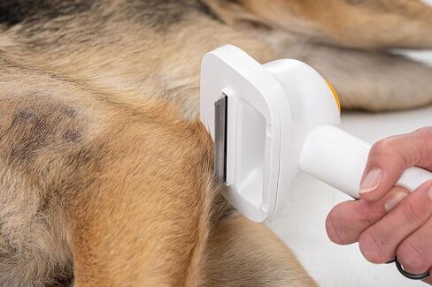 Helios - Low Noise, Light Weight, Strong Suction Pet Grooming & Vacuum - All-in-One Trimmer, De-Shedding & Cleaning System for Dogs & Cats in Kuwait