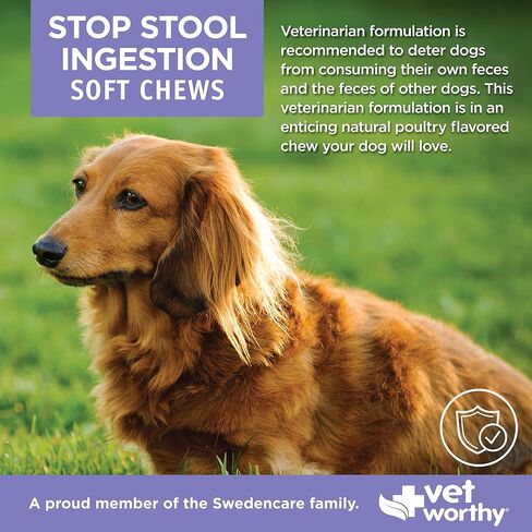 Vet Worthy Coprophagia Deterrent for Dogs - Pet Supplement with Chamomile, Yucca Schidigera to Stop Stool Eating for Dogs - Contains Parsley to Naturally Freshen Breath - 60 Soft Chews in Kuwait