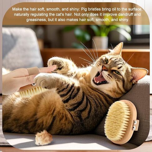 Soft Boar Bristle Pet Palm Brush for Short Haired Dogs and Cats with Band, Reduce Shedding,Ergonomic Dog Brush(Soft dog brush) in Kuwait