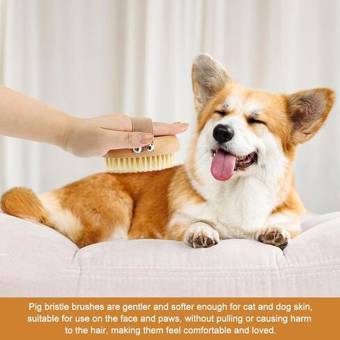 Soft Boar Bristle Pet Palm Brush for Short Haired Dogs and Cats with Band, Reduce Shedding,Ergonomic Dog Brush(Soft dog brush) in Kuwait