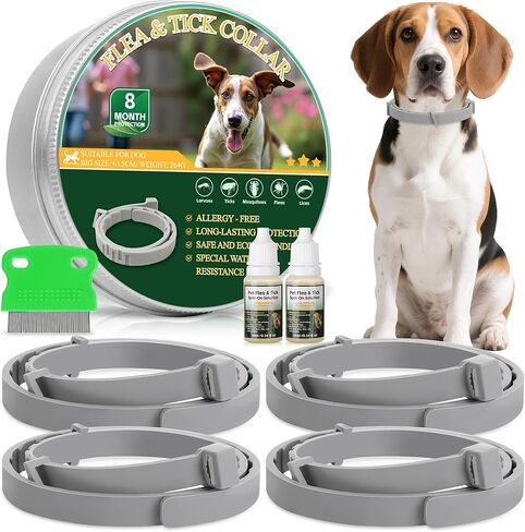 4 Pack Essential Oil Collars Dog Flea & Tick Collar Set with Natural Essential Oils, Adjustable Flea Control for Dogs in Kuwait