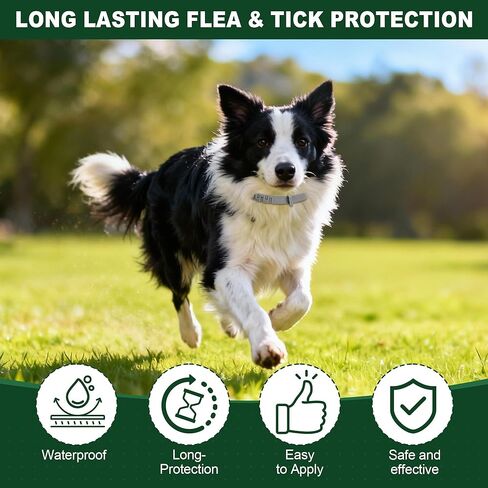 4 Pack Essential Oil Collars Dog Flea & Tick Collar Set with Natural Essential Oils, Adjustable Flea Control for Dogs in Kuwait
