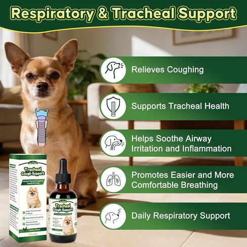 Trachea Cough Elixir, Collapsed Trachea Support for Dogs, Tracheal & Respiratory Airway Liquid, Dog Cough Relief Drops for Small Breeds, Natural Herbal Formula 2 fl oz Chicken Flavor in Kuwait